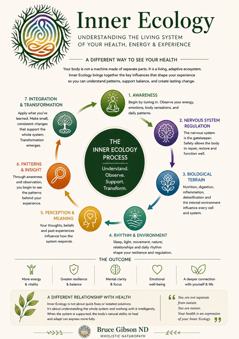 Understanding the Living System — free guide